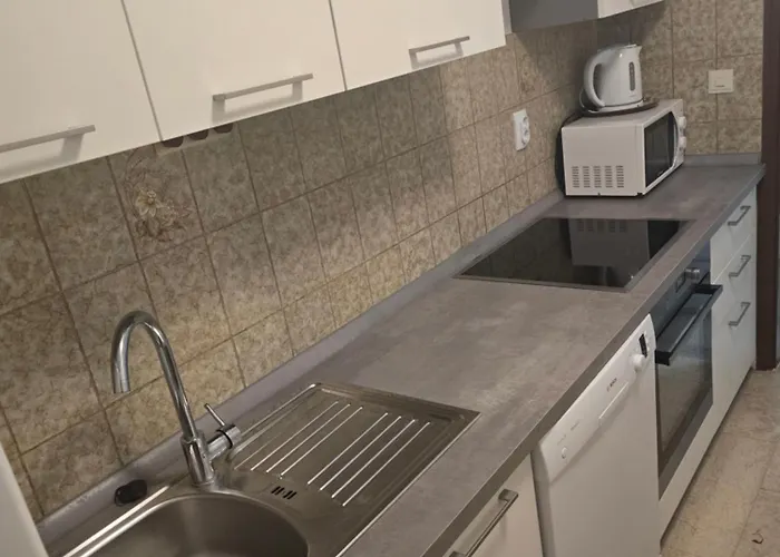 Dragica بوريتش